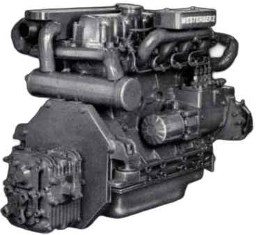 Westerbeke W-33